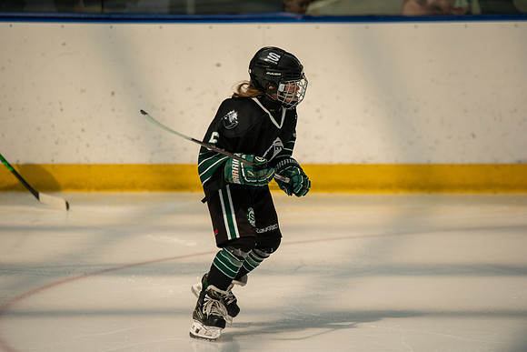 Husky-prospects-0246