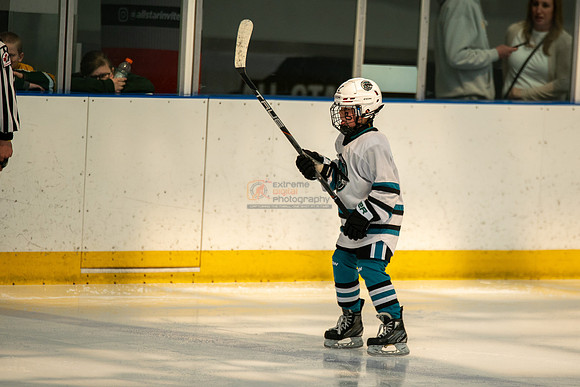 sharks-may2-0140