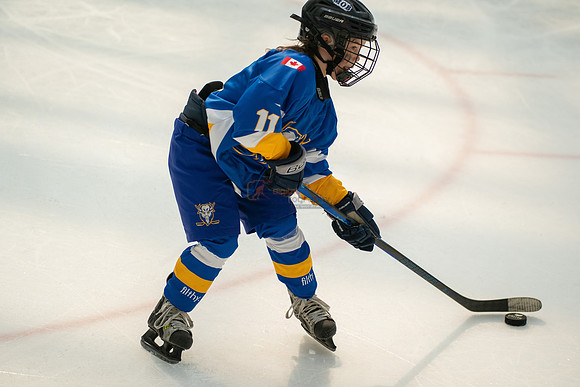 Bisons-2-10