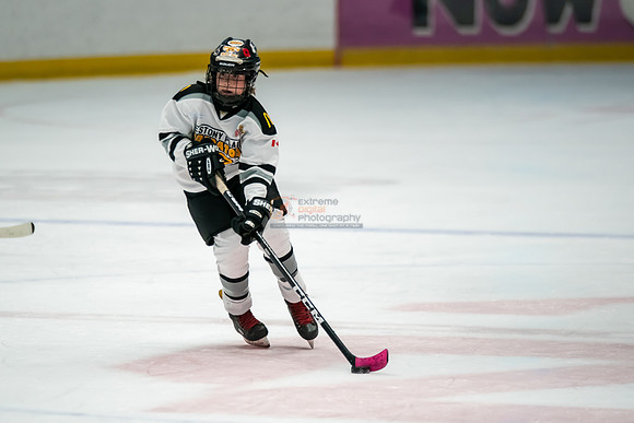 stplpreds-394
