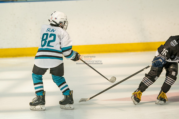 sharks-may2-0231