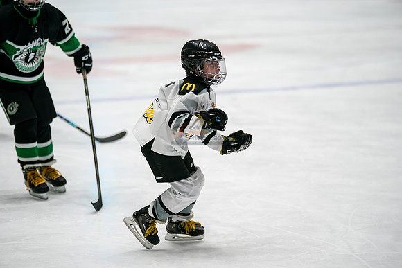 stplpreds-37