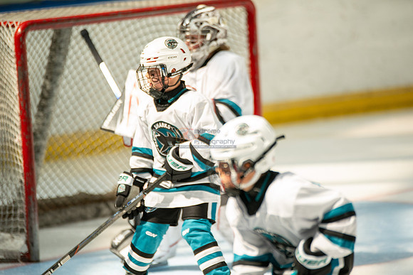 sharks-may2-0220