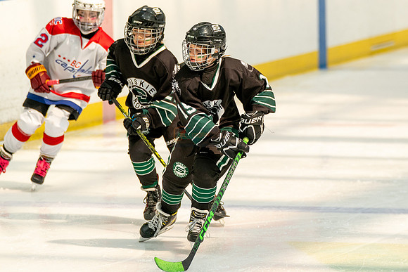 Husky-prospects-0151