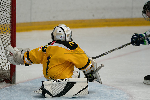PRedators-yellow-24