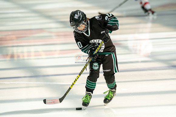 Husky-prospects-0014