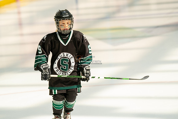 Husky-prospects-0007