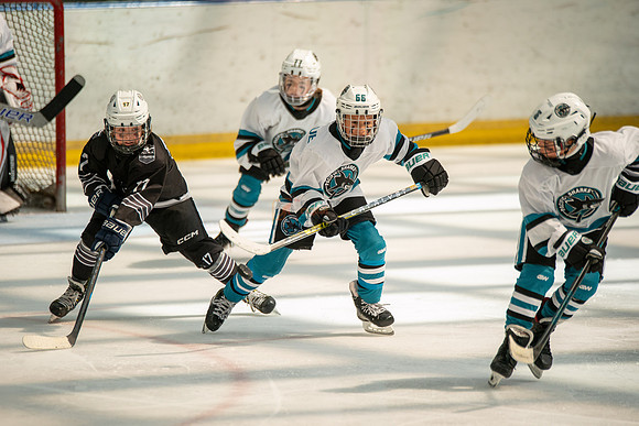 sharks-may2-0394