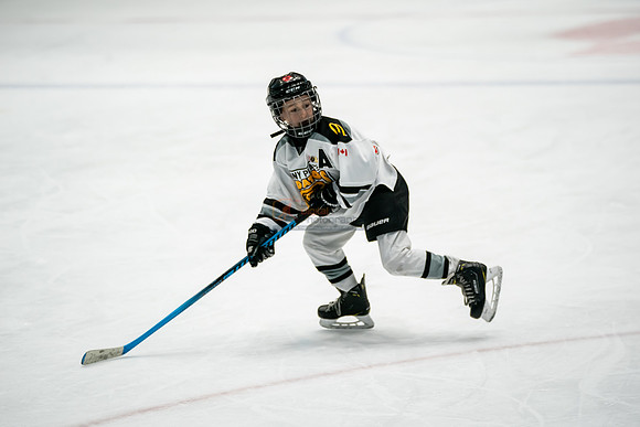 stplpreds-290