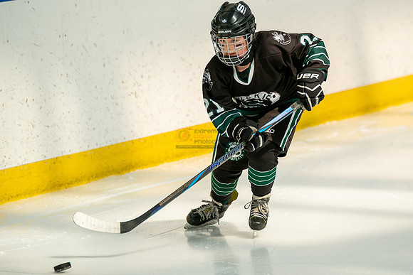 Husky-prospects-0063