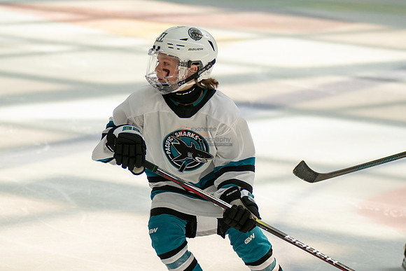 sharks-may2-0383