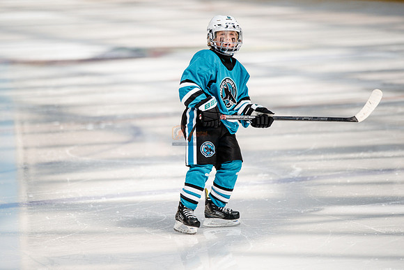 Sharks-may3-0181
