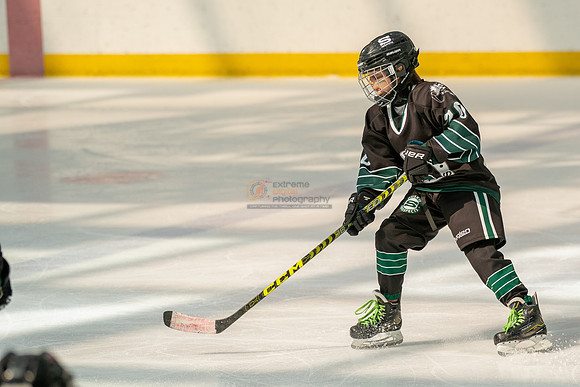 Husky-prospects-0259