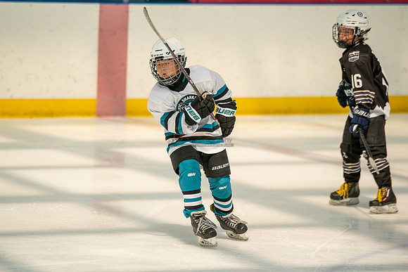 sharks-may2-0233