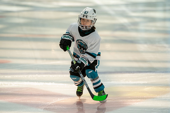 sharks--may1-0026