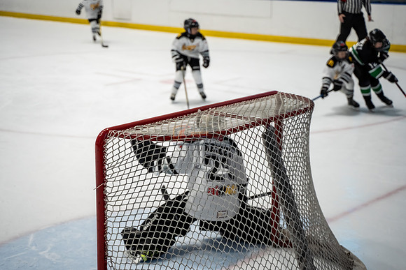 stplpreds-2-6