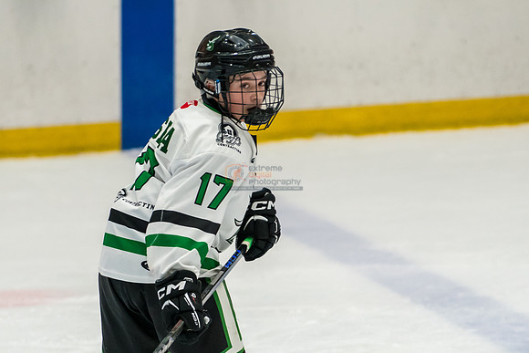 allstar-feb7-Basha-8765