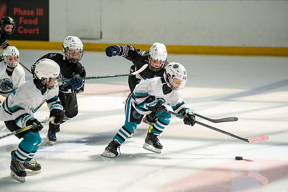sharks-may2-0458