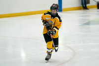 PRedators-yellow-7