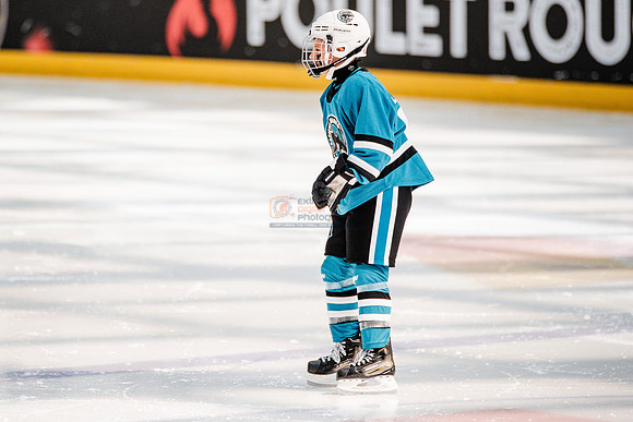Sharks-may3-0128