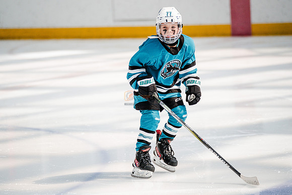 Sharks-may3-0151