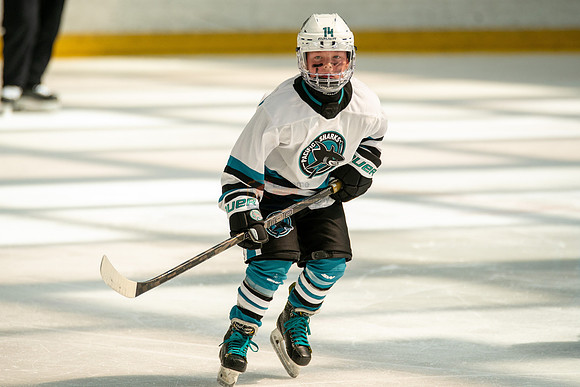 sharks-may2-0372
