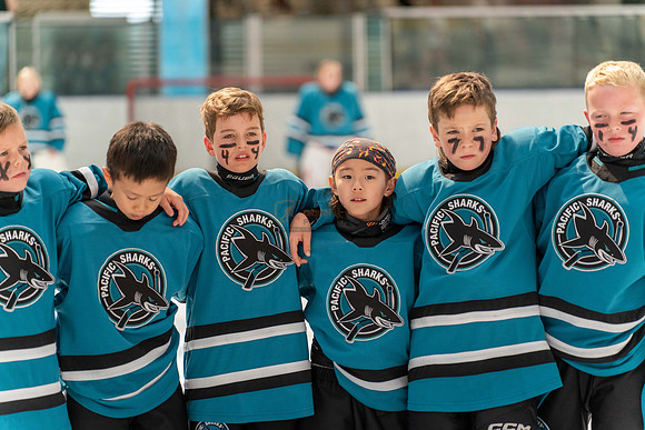 Sharks-may3-9913