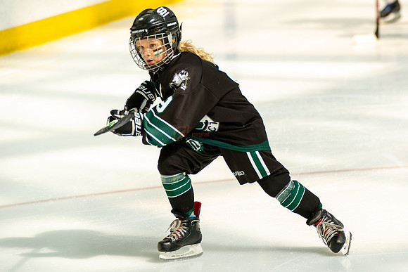 Husky-prospects-0087