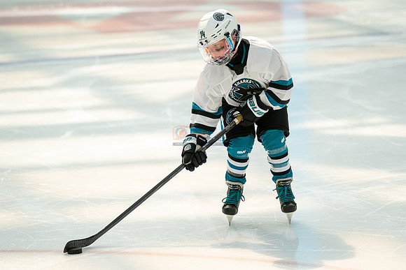 sharks--may1-0037