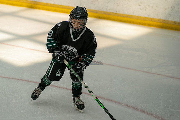 Husky-prospects-0264