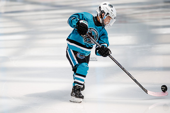 Sharks-may3-0044