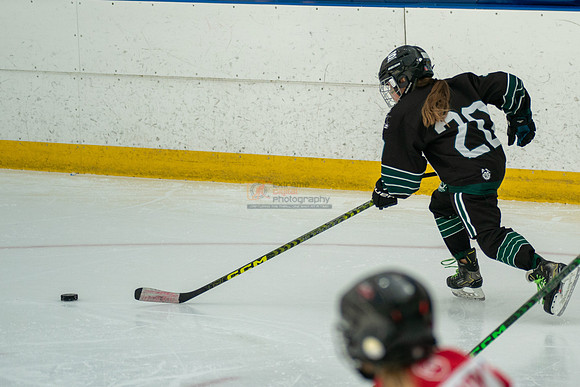 Husky-prospects-0158