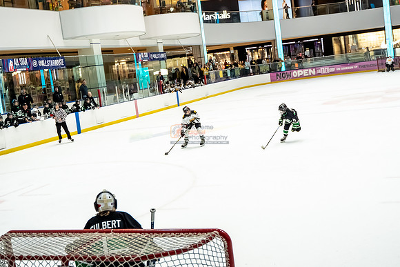 stplpreds-2-24