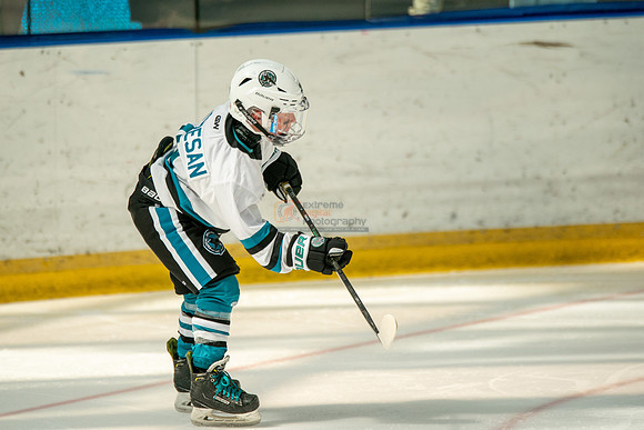 sharks-may2-0235