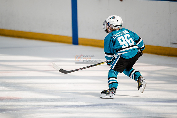 Sharks-may3-0194