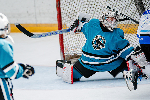 Sharks-may3-0391