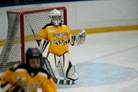 PRedators-yellow-16
