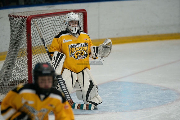 PRedators-yellow-16