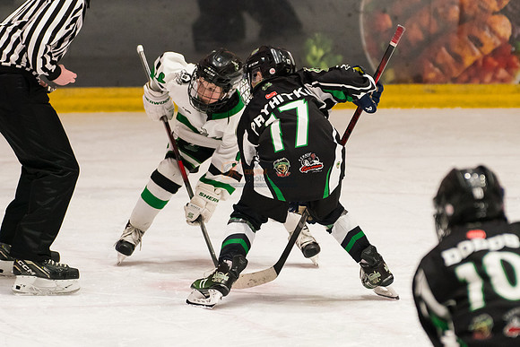 allstar-feb7-PRYHITKO-8693