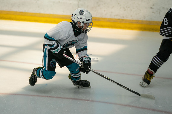 sharks-may2-0072