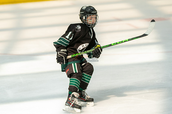Husky-prospects-0352