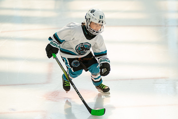 sharks--may1-0020