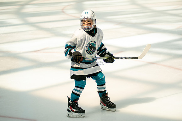 sharks-may2-0150