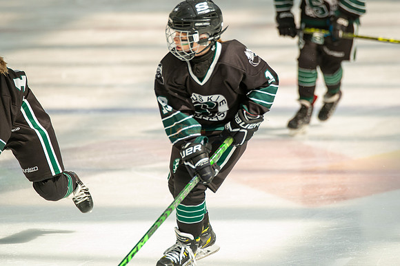 Husky-prospects-0140