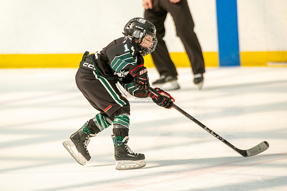 Husky-prospects-0399