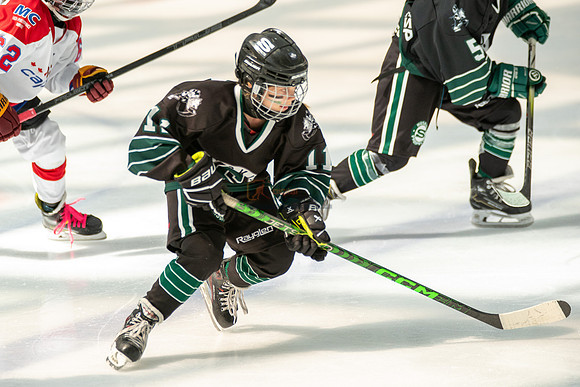Husky-prospects-0340