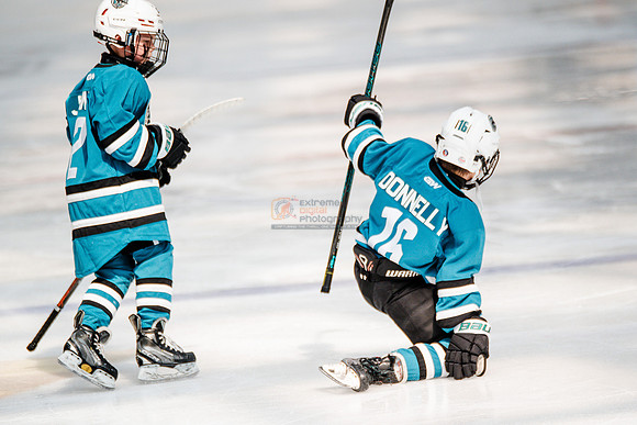 Sharks-may3-0182