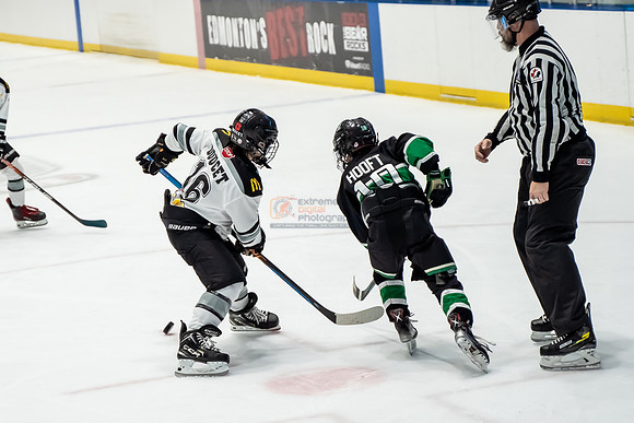 stplpreds-2-23