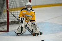 PRedators-yellow-17