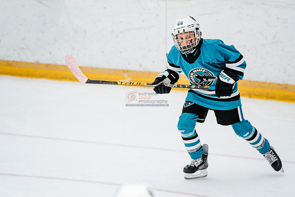 Sharks-may3-0396